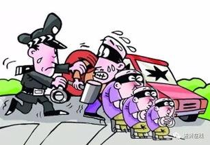 进贤盗窃学生爆料案件最新,警方全力追查，受害者发声揭露真相  第1张