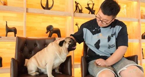 巴哥全新爆料视频播放,独家内幕大公开! 第1张 巴哥全新爆料视频播放,独家内幕大公开! 第1张