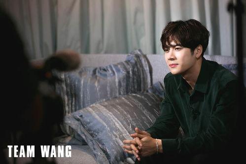 王嘉尔最新爆料视频大全,揭秘明星幕后故事 第3张 王嘉尔最新爆料视频大全,揭秘明星幕后故事 第3张