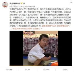 刘振最新爆料视频,事件背后惊人真相曝光